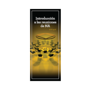 I.P29 INTRODUCCION A LAS REUNIONES DE N.A