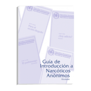 Guía de introducción a NA